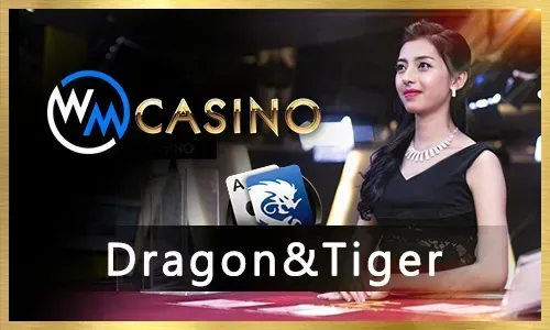 Diverse Gaming Portfolio